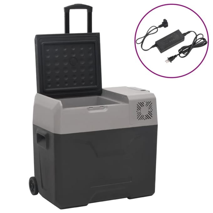 Vidaxl Réfrigérateur sur Roues, Avec Alimentation, Noir-Gris, 40 L, PP