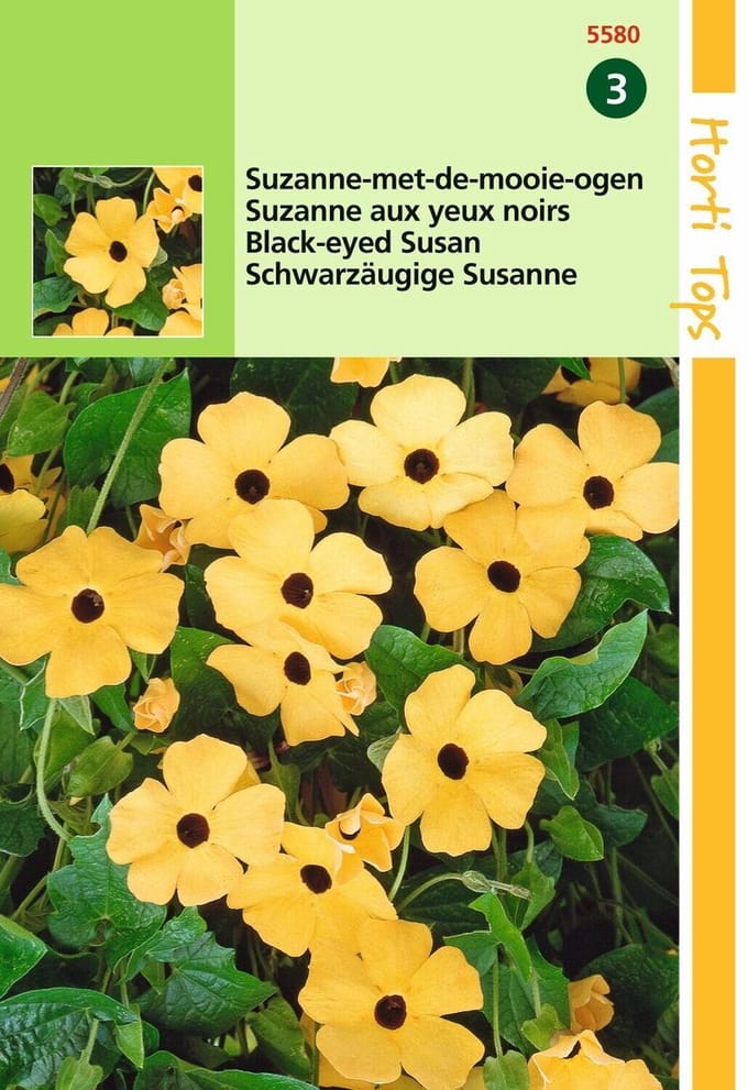 2 stuks Hortitops Thunbergia Alata Suzanne met de mooie Ogen