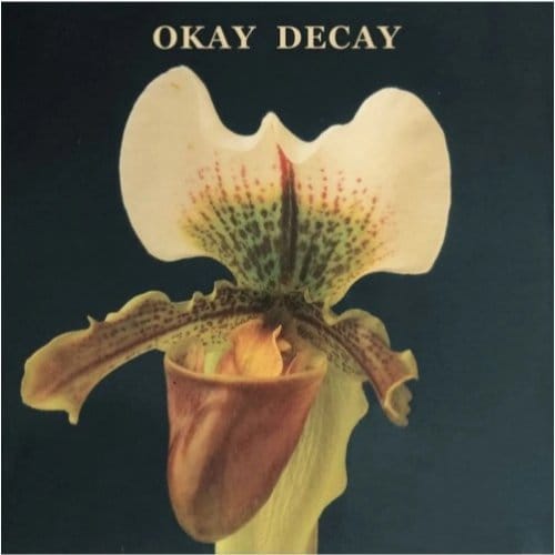 Okay Decay - Canshaker Pi
