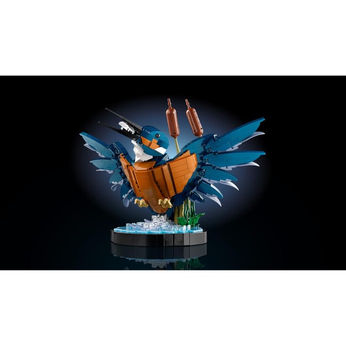Constructiespel set de ijsvogel iconen Lego