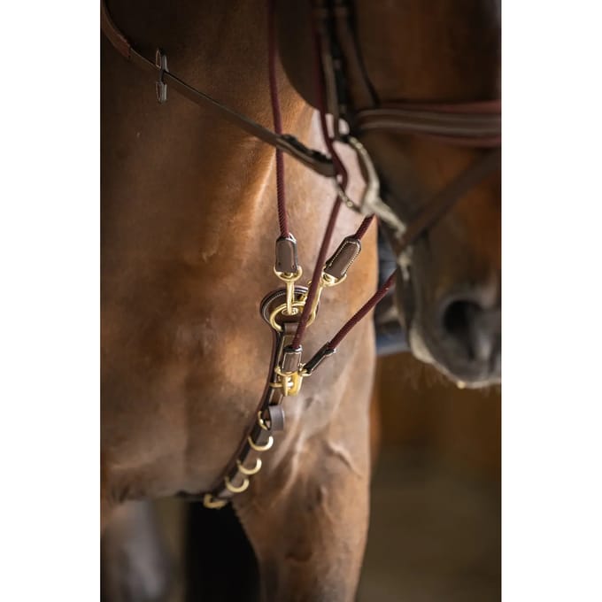Gogue voor paard HFI