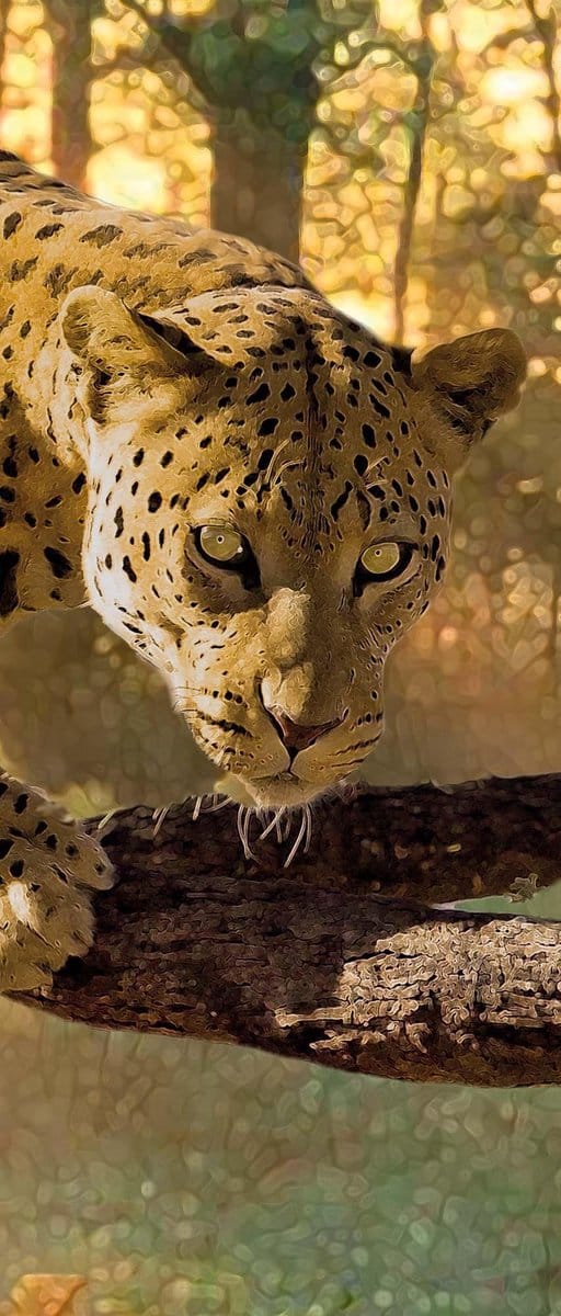Fotobehang Leopard | DEUR - 211cm x 90cm | 130g/m2 Vlies