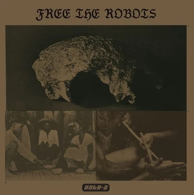 Free The Robots - Datu 2 (LP) (Screen-Printed Sleeve)