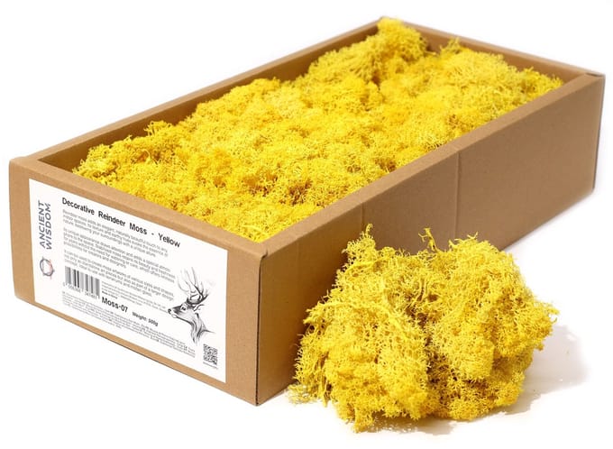 Rendiermos - Yellow - 635g Box