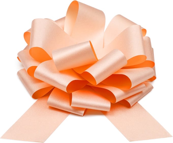 PartyDeco - Cadeaustrik Zalm Roze - 30 cm