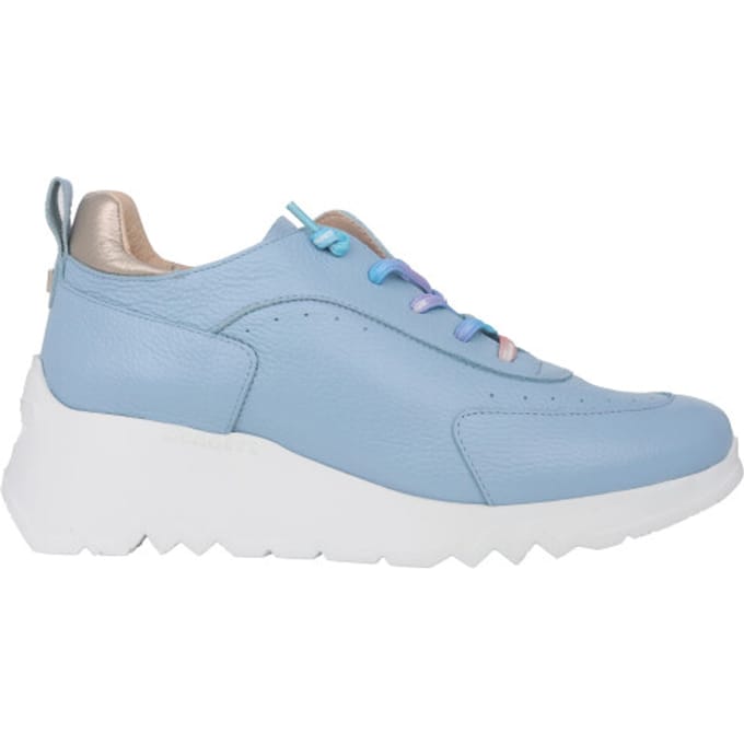 Sneakers Wonders Mint