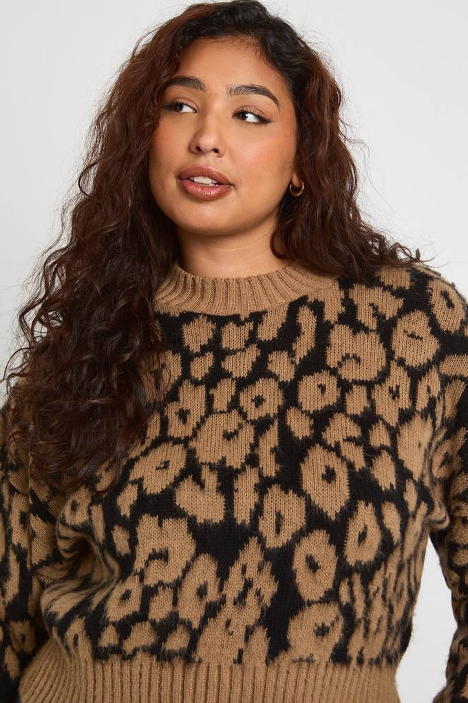 boohoo Dames Plus Leopard Geribbelde Ronde Hals Trui | Maat: 18