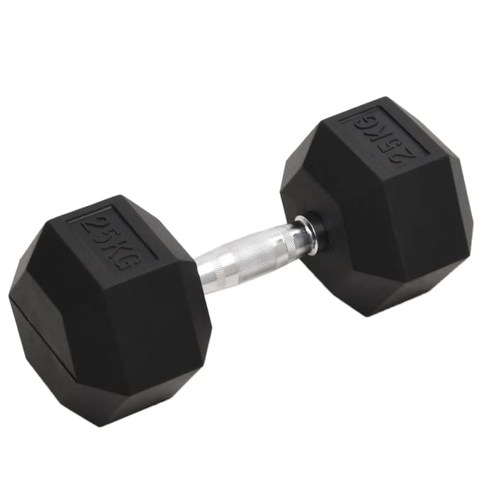 vidaXL - Halters - 25 - kg - gietijzer