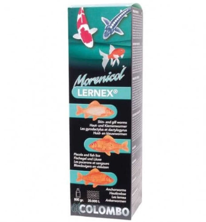 LERNEX 2000 GRAM/50.000L*