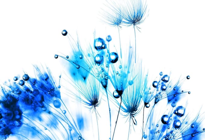 Poster | Blauw , Wit | 104 x 70,5 cm