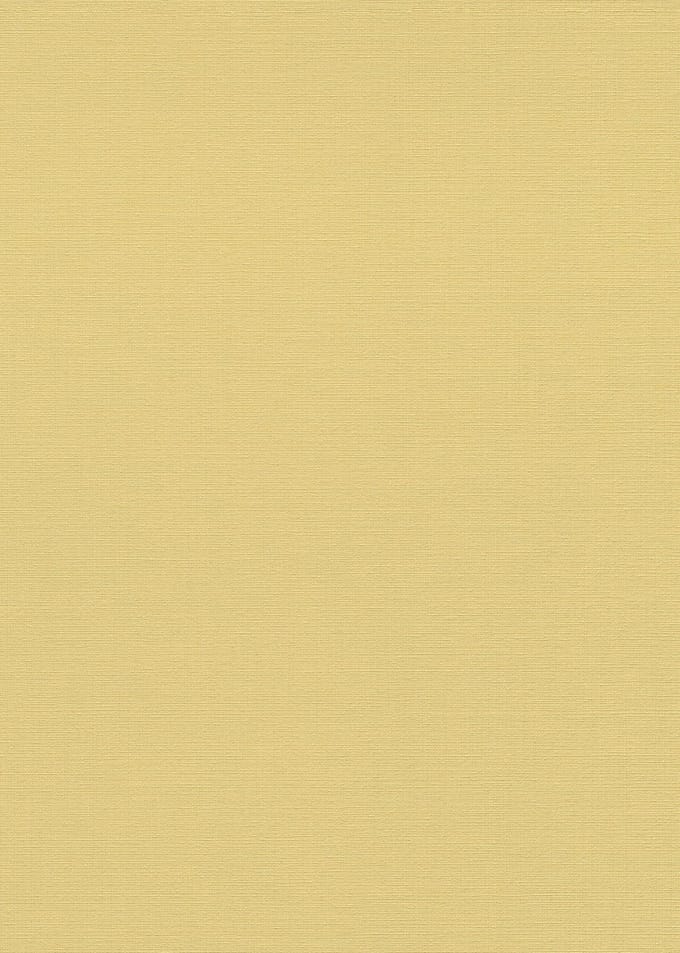 Erismann Vinylbehang 10262-03 - La Terasse - Geel - 53cm x 10.05m