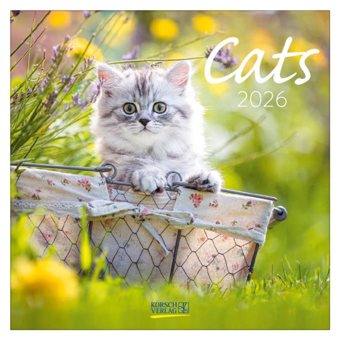 Cats kalender - 2026