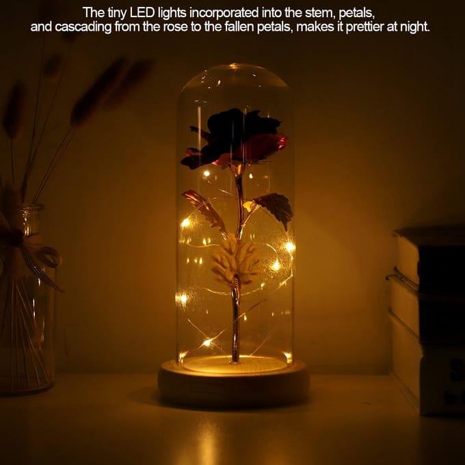Bewaarde Rozenbloem LED Lamp met Glazen Deksel & Houten Basis Valentijnsdag Huwelijksgeschenk Type 2 brown