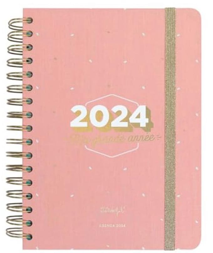 Office agenda 2024 - Mijn grote jaar - 368 pagina's - Dagelijkse planner