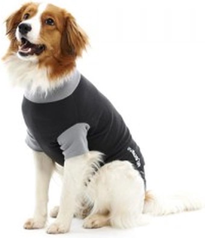 Buster Bodysuit - XXXL