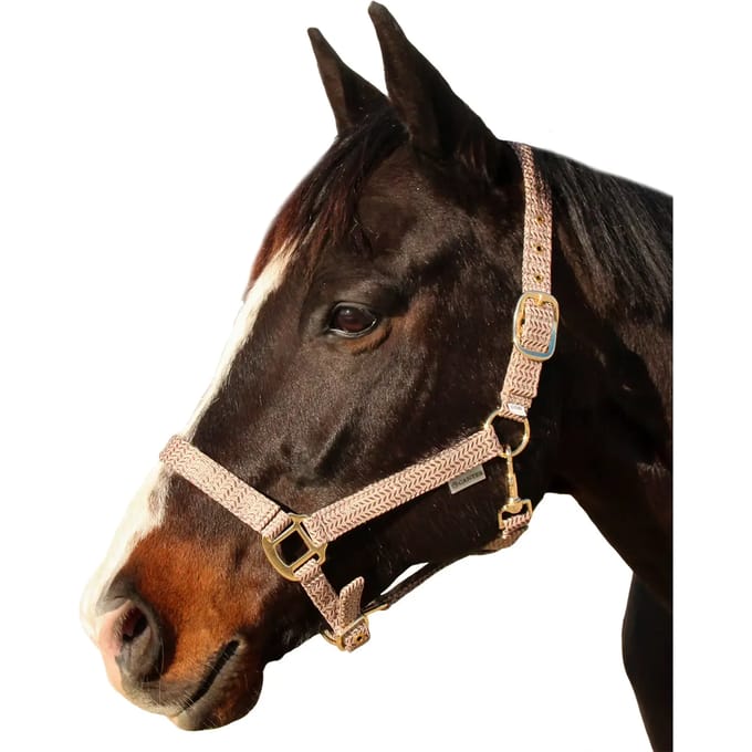 Halster voor paarden Canter Malibu