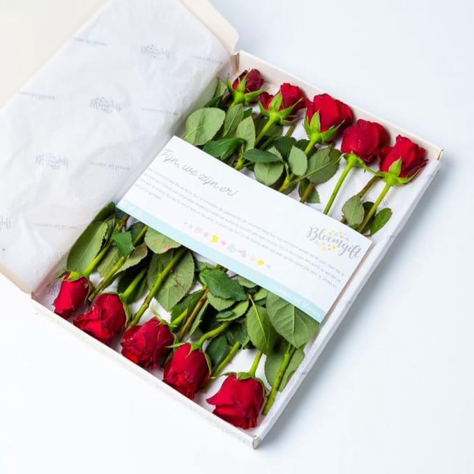 BloomKado | Brievenbus bloemen | Rode rozen | 10 stelen | Vers van de Kweker | Origineel cadeau per Post