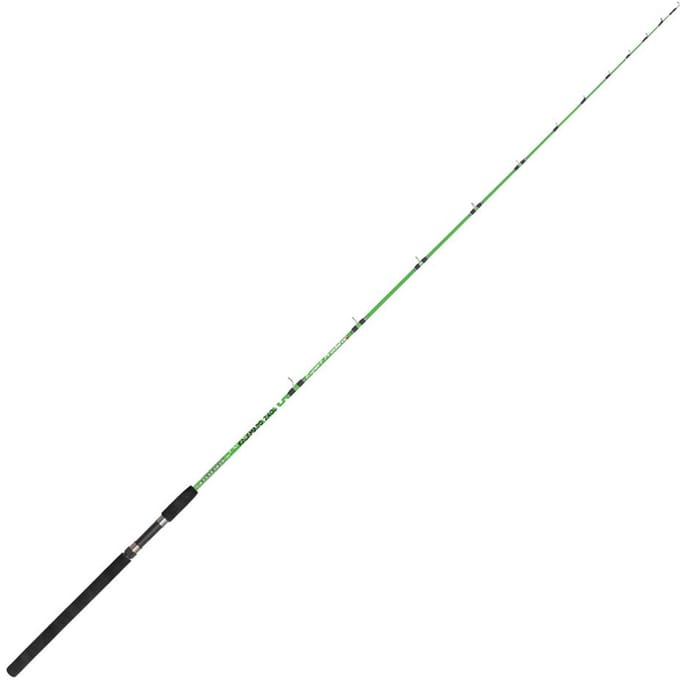 Expert Predator Kalamaro Hengel Eging Groen 2.40 m / 50-100 g
