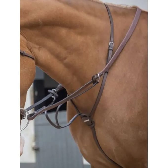 Martingale voor paarden Jump'In à anneaux