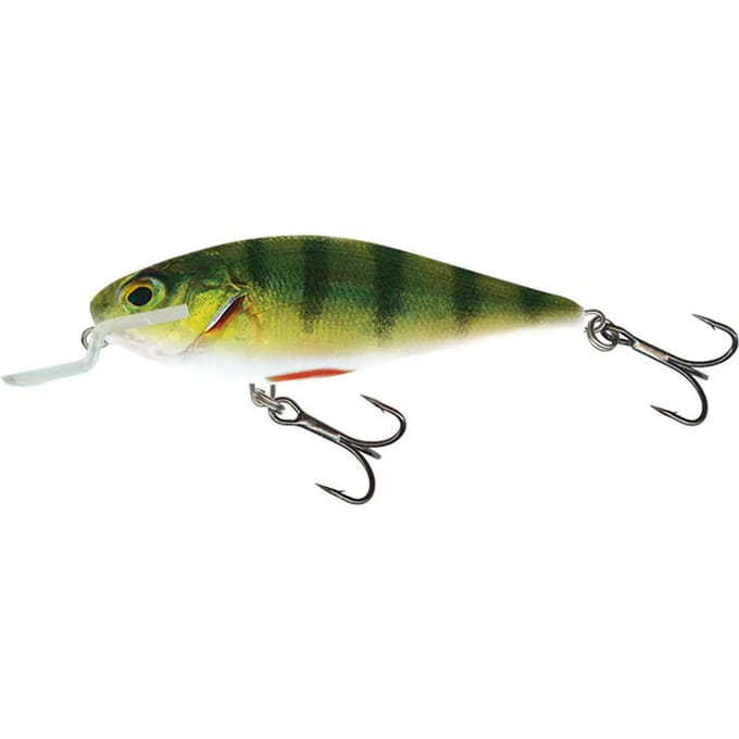 Lok Salmo IEX12SR Holgraphic