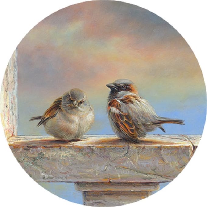 Art Circle Erik van Ommen - Mussen (30cm) dibond