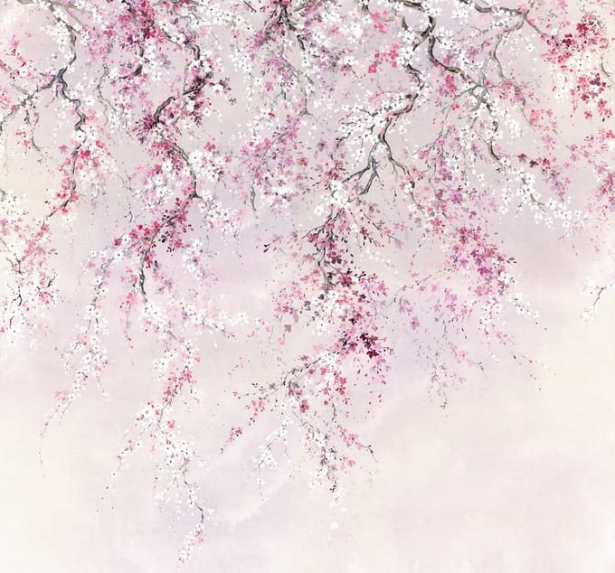 Fotobehang - Kirschblüten 300x280cm - Vliesbehang