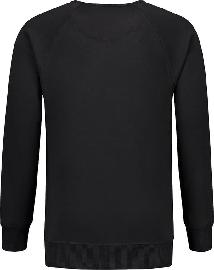 L&S Heavy Sweater Raglan Crewneck for him