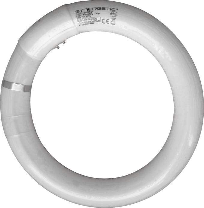 Edialux Aura Black Lamp