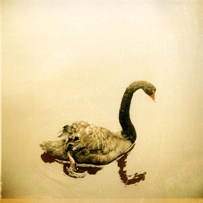 Crooked Fingers - Crooked Fingers (LP)