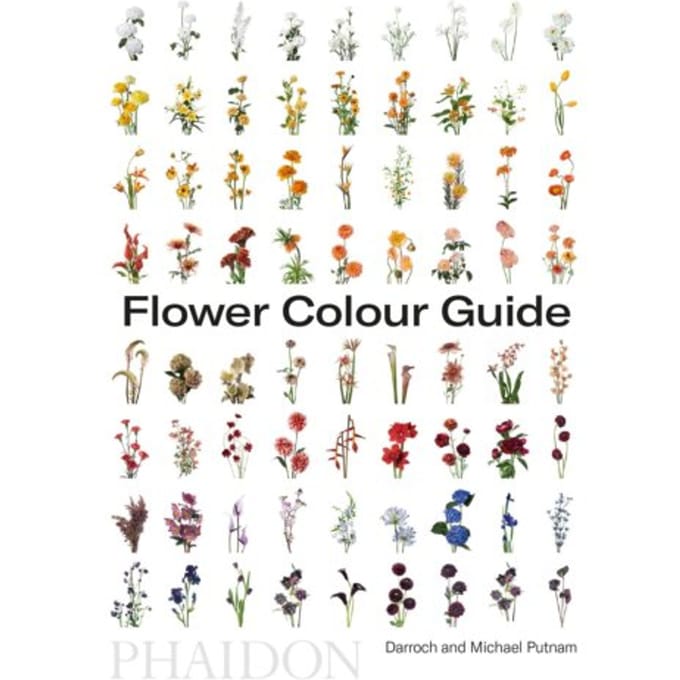 Flower Colour Guide - Taylor Putnam
