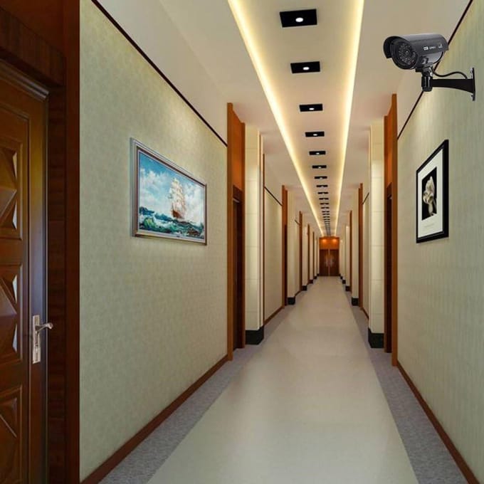 Dummy Camera met LED-Licht voor Binnen en Buiten - 2 Stuks