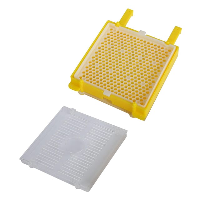 Kit de système d'apiculture Boîte de système d'élevage de reines d'abeilles Kit de greffage d'élevage de boîtes d'apiculture beige
