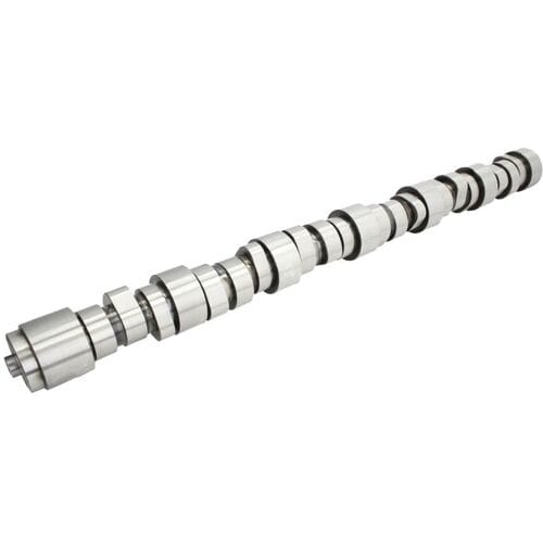 Nokkenas  BF 20101419000