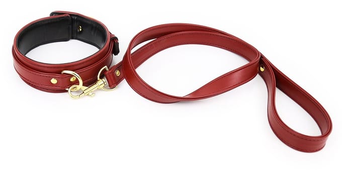 Smart Moves - Collar met Leash - Donkerrood - Gouden Hardware