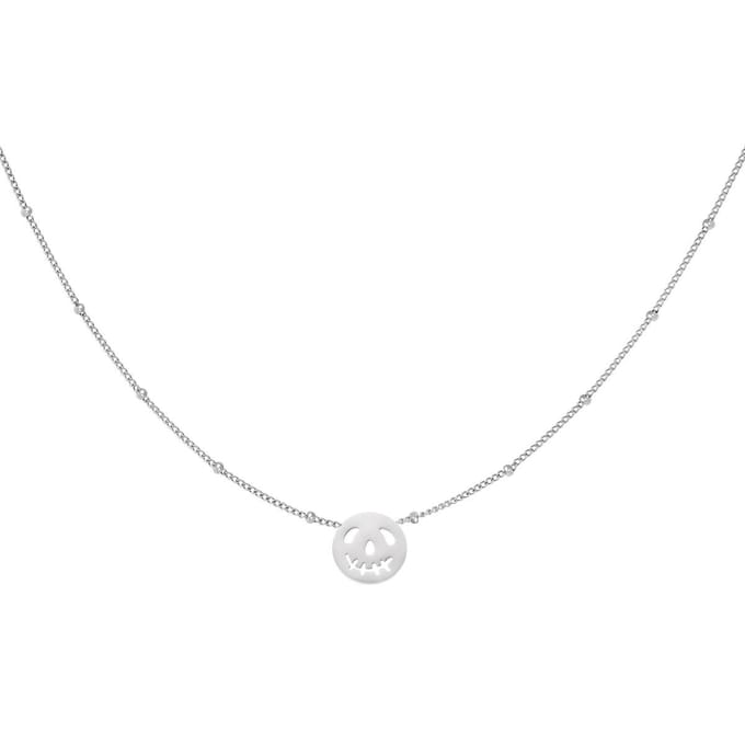 Ketting ronde pompoen - RVS - Zilver - verstelbaar