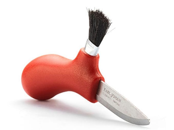 Mora karl-johan mushroom