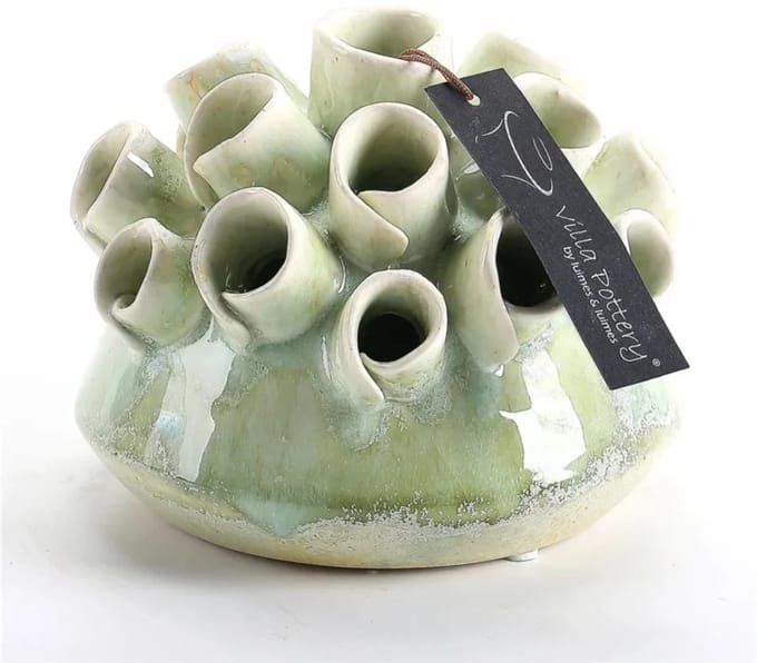 Groene Tuitvaas Suus D14xH12