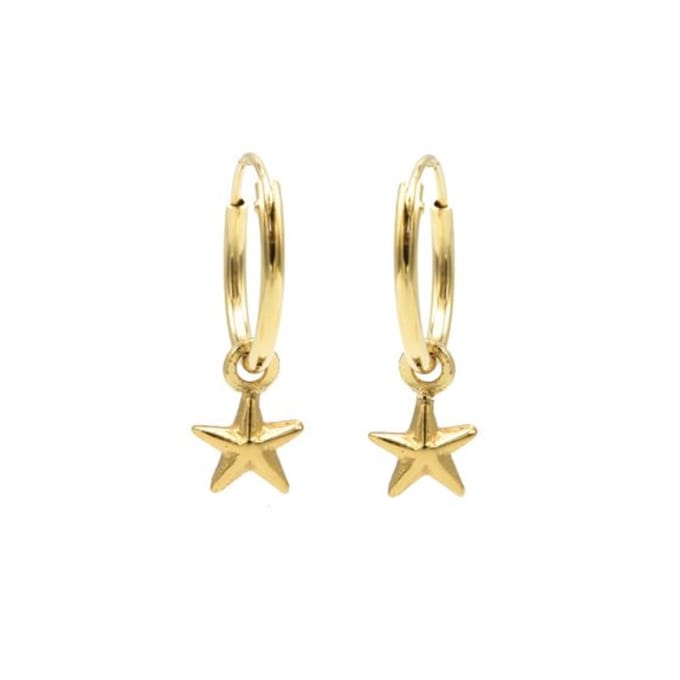 Karma Hoops Oorbel Symbols Polestar Goudplated M2875