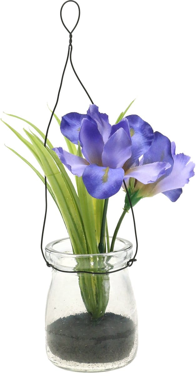 Iris sering in een glas om op te hangen H21.5cm
