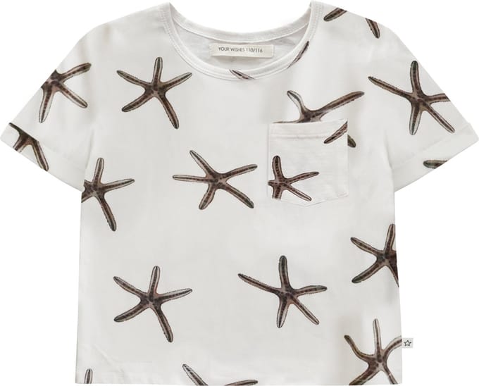 Star Fish | Evi