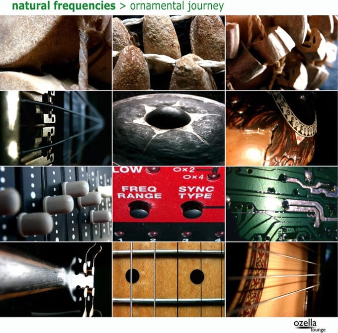 Natural Frequencies, Andreas Leifeld - Ornamental Journey (CD)