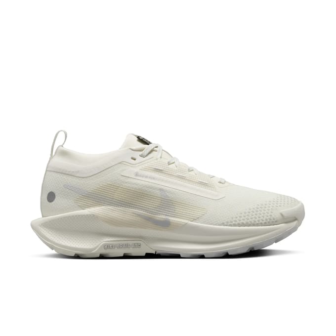 Damesschoenen Nike Pegasus 5 Gore-tex