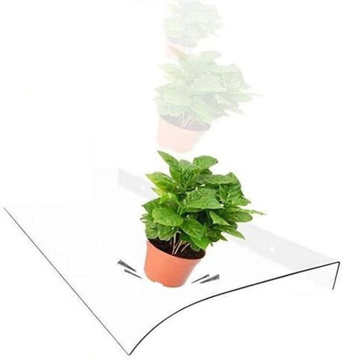 Deurafdak - Buitendak Luifel - Regen Beschermen - Ongebroken Polycarbonaat - 40 cm Diep - Transparant