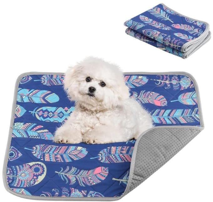 Famanu - 2 stuks PIPI-trainingspads 46x61 cm absorberend