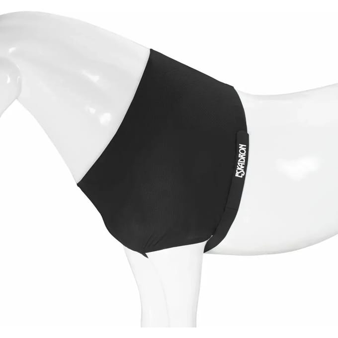 Eskadron Borstbeschermer Eskadron Dyn Air Mesh Zwart - Paard