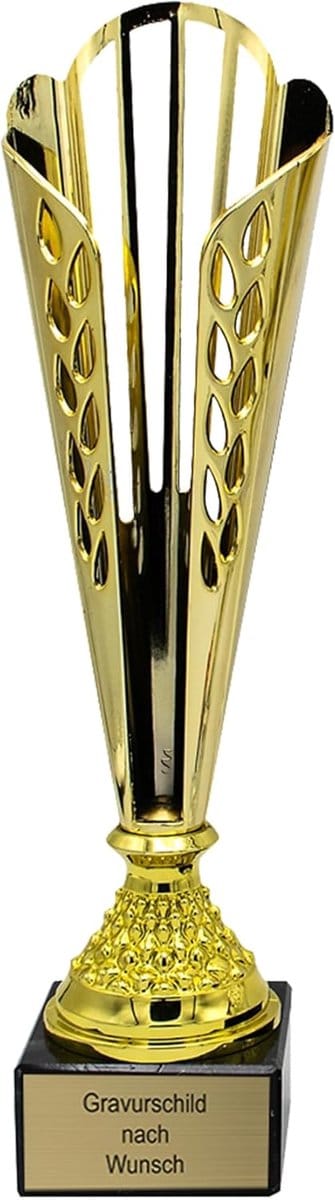 Beker met gravure - Gepersonaliseerd geschenk - Onderscheiding uitreiking - Graveerbaar met eigen tekst - 365 cm hoogte - Goud