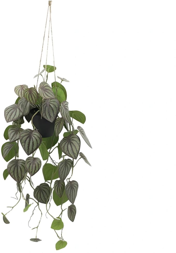 Kunstplant Peperomia Melon Hang - 90 cm