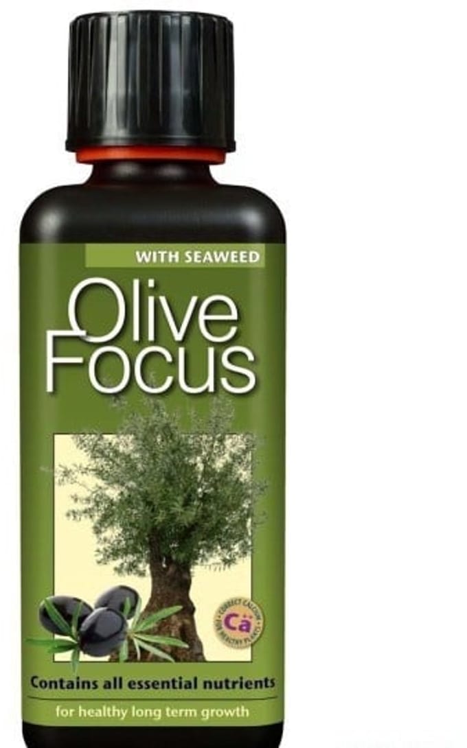 GROWTH TECHNOLOGY OLIVE FOCUS 500 ML