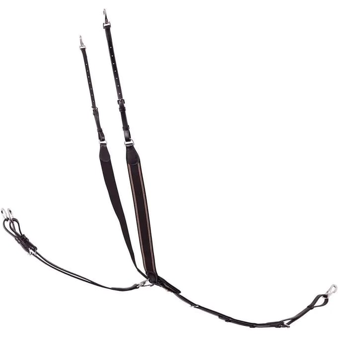 Elastische jachthalsband voor paarden met martingaal BR Equitation Taunton