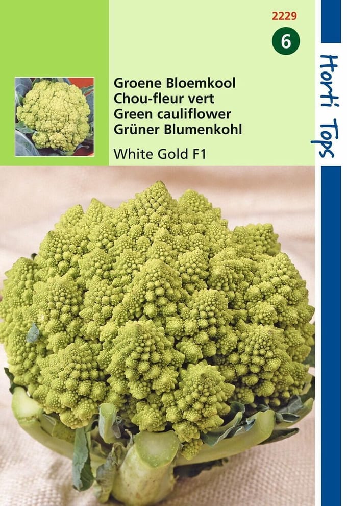 2 stuks - Hortitops - Bloemkool Minaret, Groene Romanesco